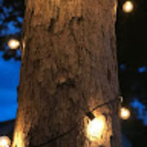 Meet your Posher, Aubrey